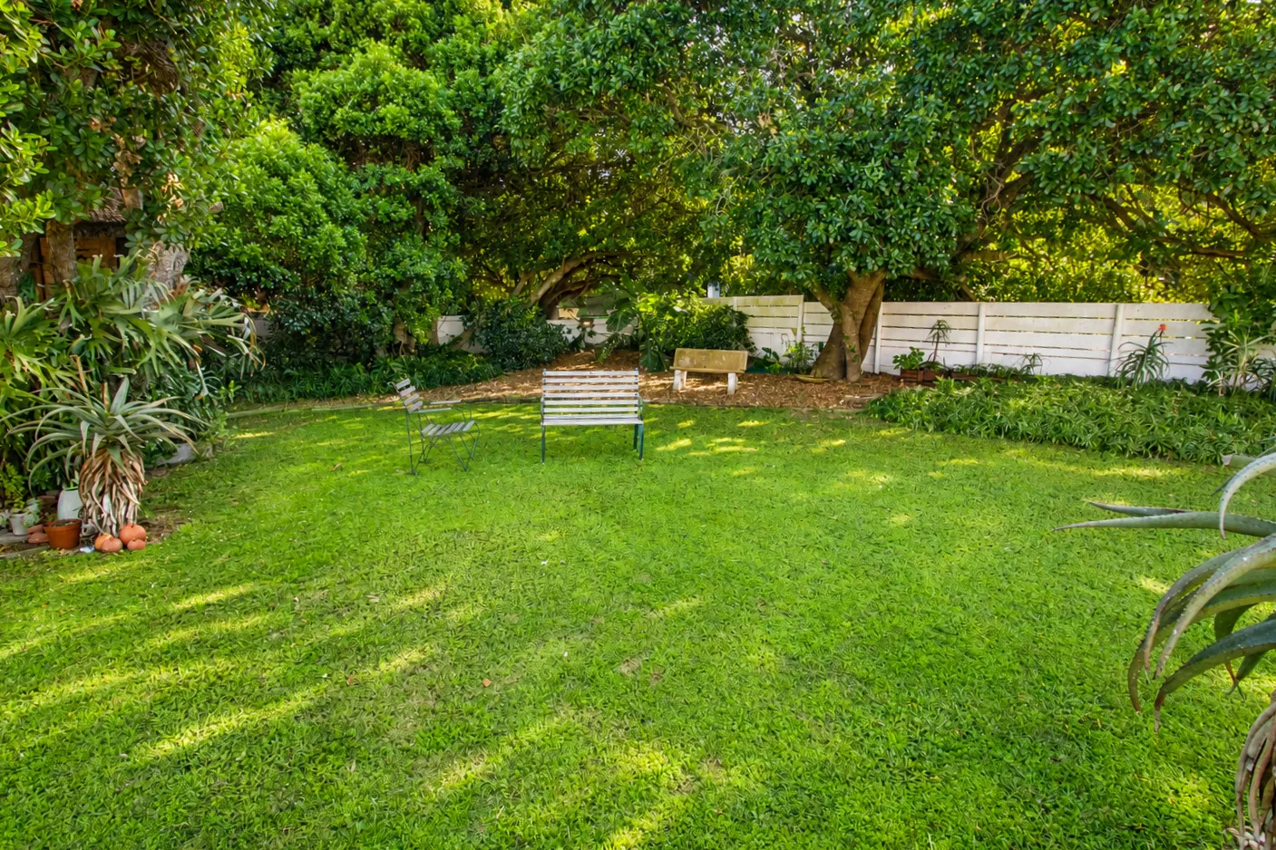 A quiet corner of the back garden, with a bench and chair beneath the trees